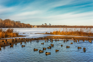 Next Steps for Waters of the United States