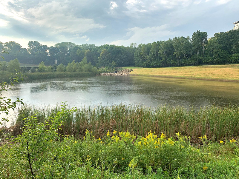 Burnsville City-Wide 2D Storm Sewer System Model, Resiliency Study, and Lake Level Analysis