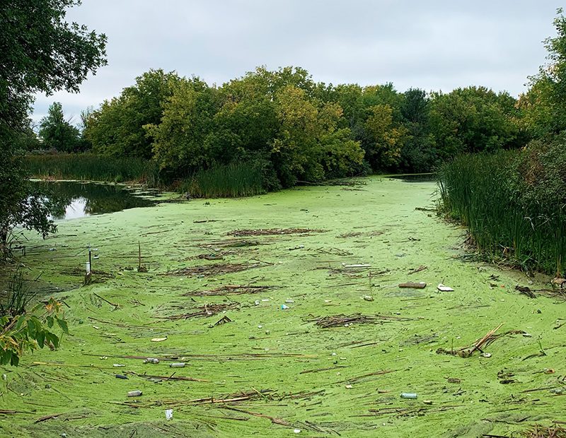 English Coulee Water Quality Improvement and Public Outreach