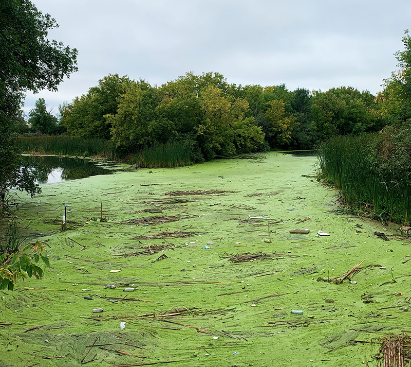 English Coulee Water Quality Improvement and Public Outreach